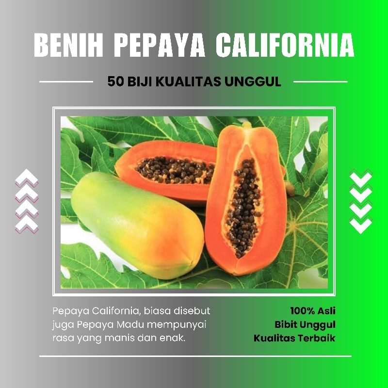 50 biji Benih Pepaya Madu California / Bibit Pepaya Unggul