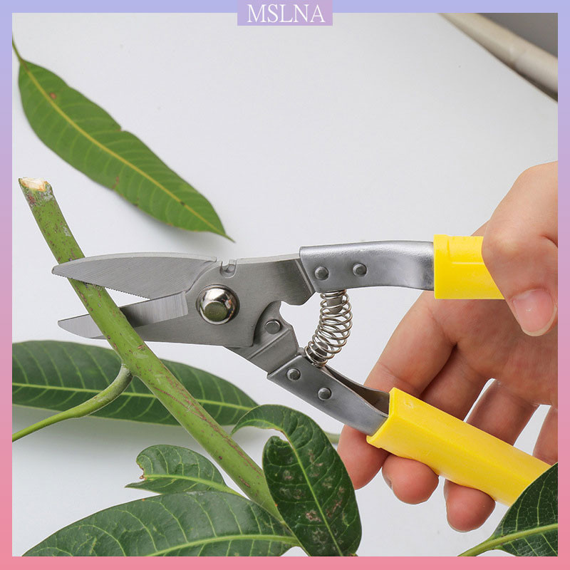 

Gunting timah gunting taman alat gunting kelas industri gunting serbaguna Amerika baja tahan karat yang kuat gunting pemetik buah taman