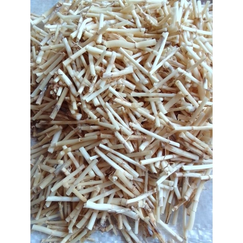 

Paket praktis 3 cm akar alang-alang segarherbal alami akar ilalang fresh