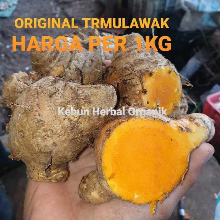 

OHI Promo Temulawak Temu Lawak Segar Organik 1kg ⠀⠀⠀⠀⠀ KC