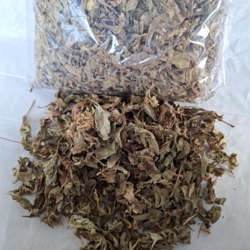 

MURAH Daun Beluntas Kering 100/200gr