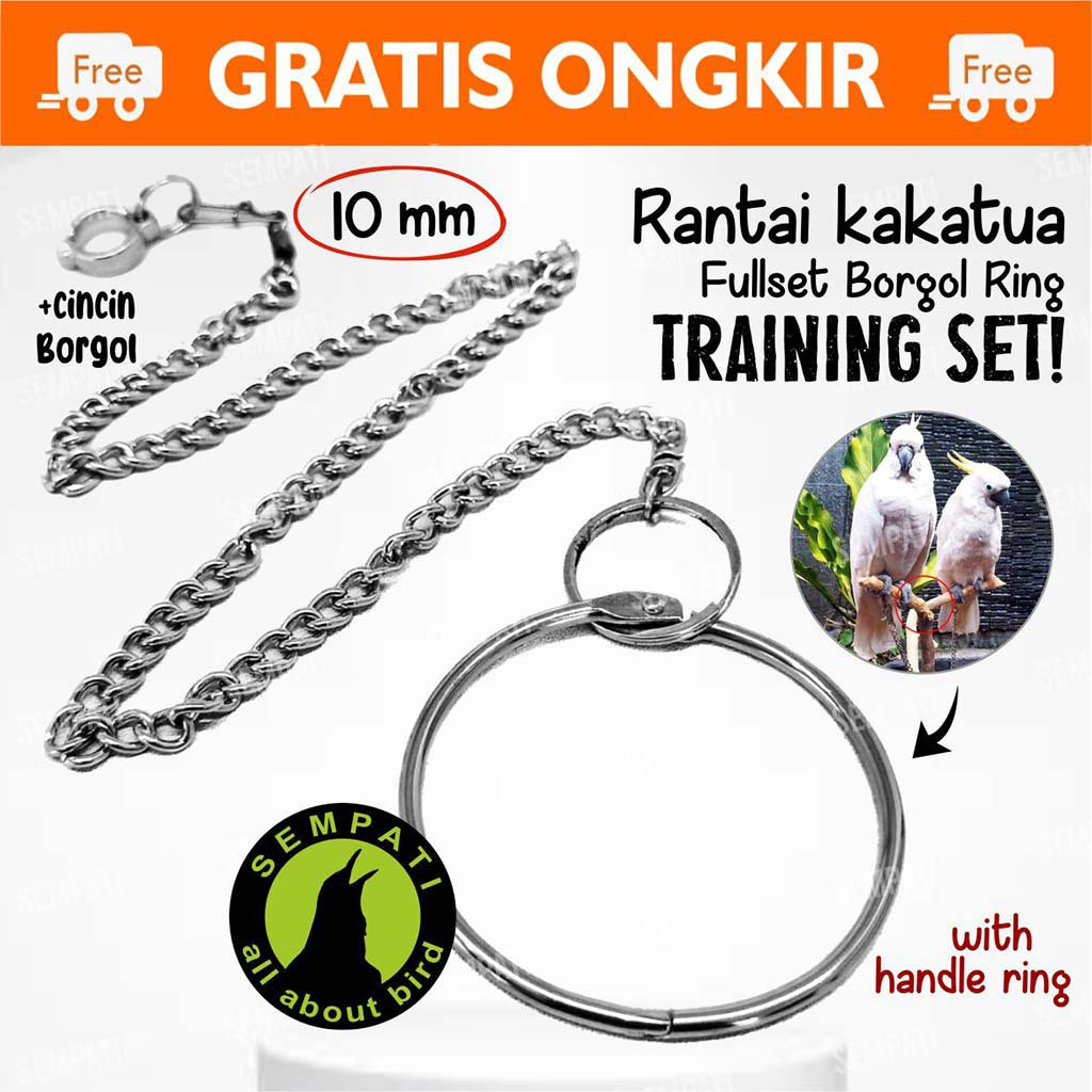 SEMPATI RANTAI KAKI KAKATUA MEDIUM FULLSET GELANG RING BORGOL 10 MM FREE FLAYING FF RANTAI GELANG KA