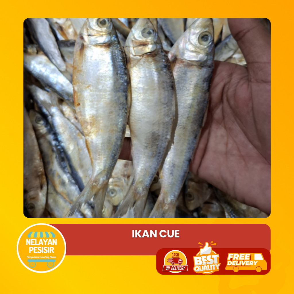 

Ikan Cue Segar Siap Masak Tidak Amis Gurih Asli Laut Harga Terjangkau