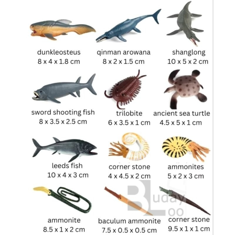 Figure Mainan Fosil Hewan Laut Purba Ammonite Trilobite Plesiosaurus Dinosaurus Leher Panjang pb0