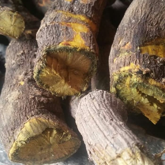 

Sahabattani READYSTOCK akar kuning