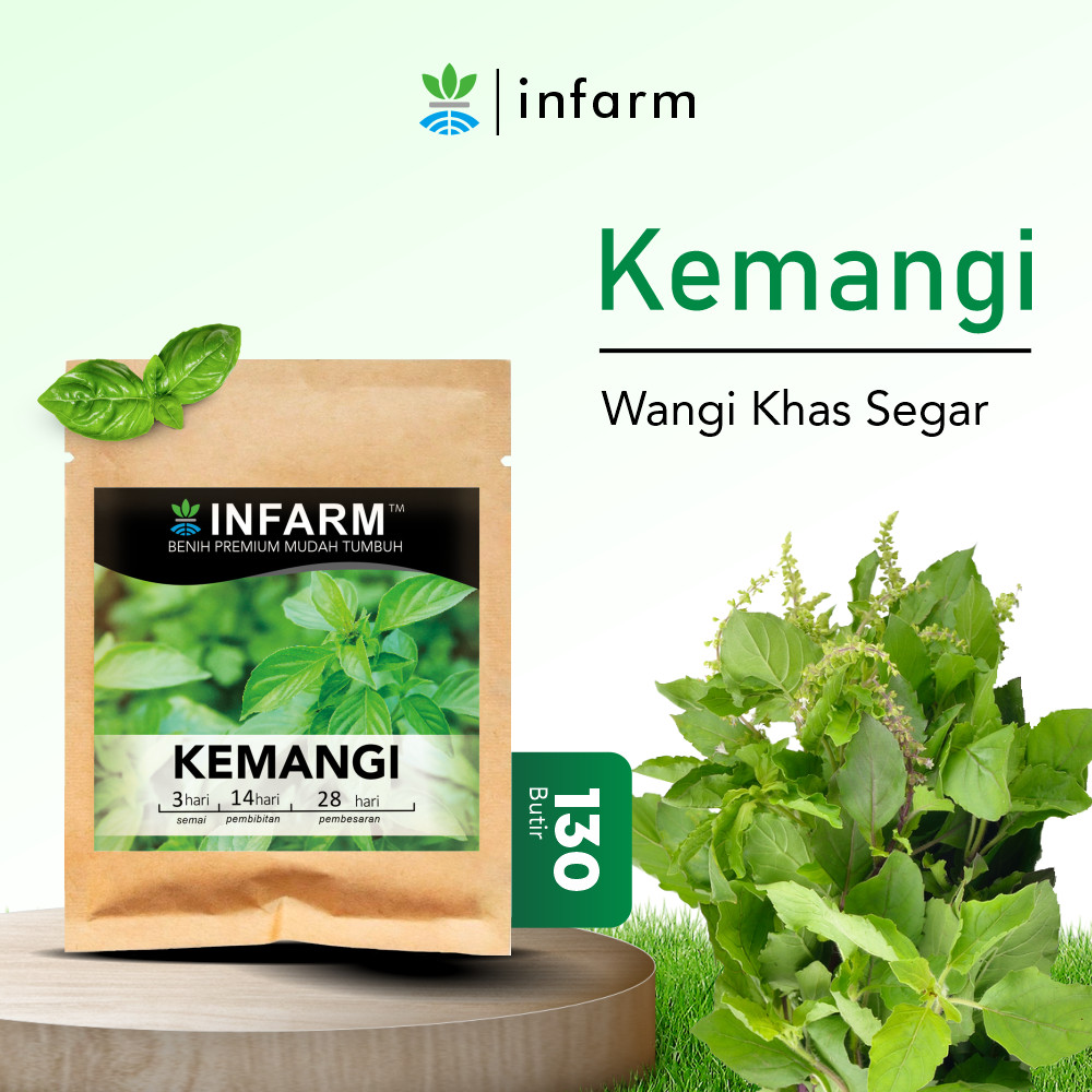 INFARM - Benih Bibit Biji Super Daun Kemangi Unggul Benih Premium Daya Tumbuh Tinggi Cepat Berkecamb