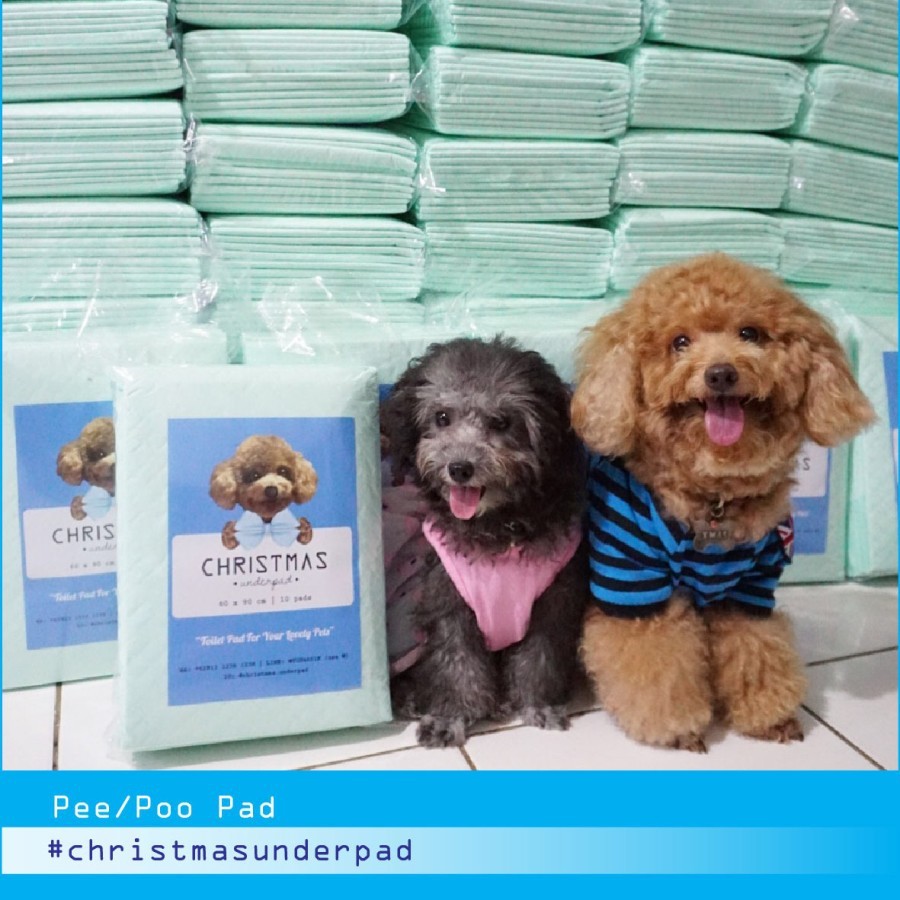( GROSIR 12 PACK )Christmas Underpad / Pee Pad untuk Anjing / Training Pad / Potty Pad for Pets