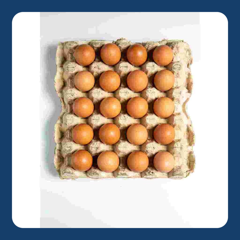 

telor omega premium /super artinya yg premium paling bagus ya ka/omega