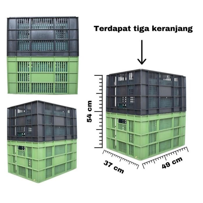 

KRAT 50 LITER KERANJANG isi 3 pcs Warna RANDOM - Krat Piring Buah / Keranjang Pakaian / Krat Serbaguna / Keranjang Serbaguna - 3 PCS (1 ISI DALAM)