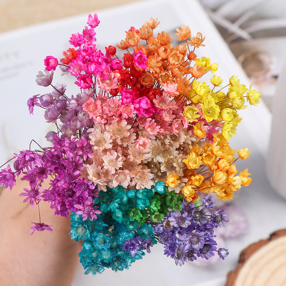 

30Pcs Mini Daisy Pampas Small Star Dried Flowers Bouquet Floral Decorative Wedding Home Table Decoration DIY Handmade Crafts