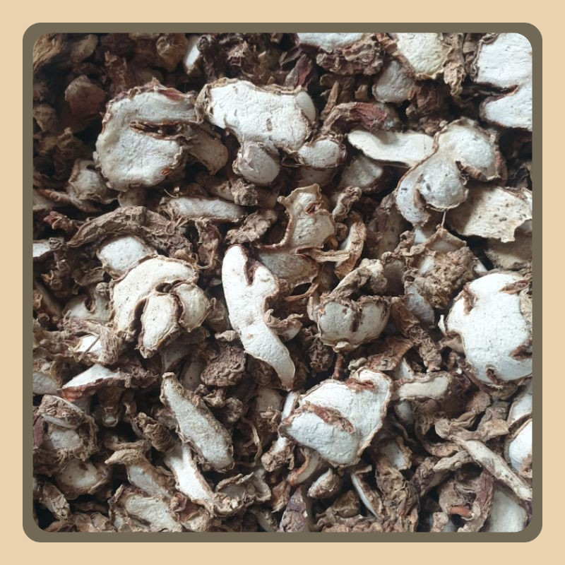 

Kencur Kering Lokal Lebih Wangi Harum 1kg