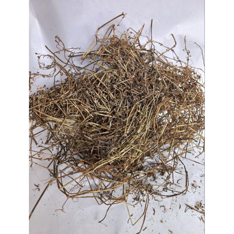 

MURAH Rumput mutiara kering 100gr