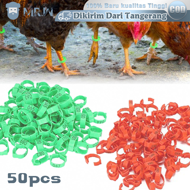 Isi 50 Gelang Kaki Anak Ayam Cincin Kaki Ayam Ring Ayam Bangkok Gelang Ayam Kaki Gelang Kaki Ayam Ad