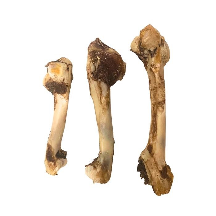 

Lamb Bone 1 piece Tulang Domba Dehydrated Dog Snacks Treats Chew Cemilan Anjing Dog Chew - 16cm++