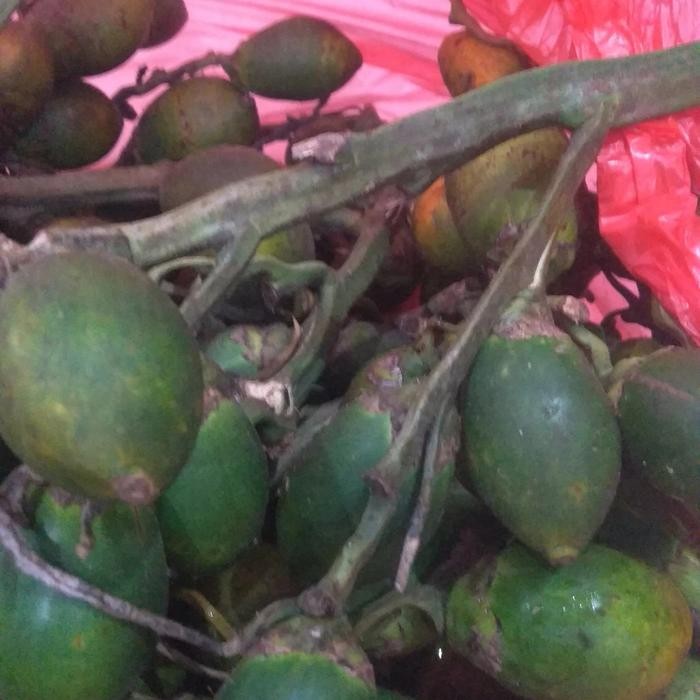

Ready stok buah pinang ceming Buah pinang muda segar(perbiji)