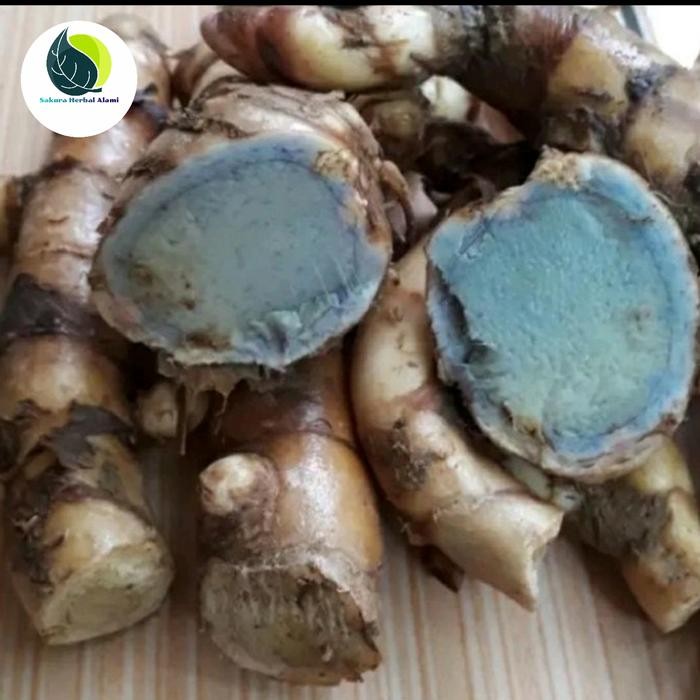 

Temu ireng atau temu hitam segar 1kg bersih dari tanah ready