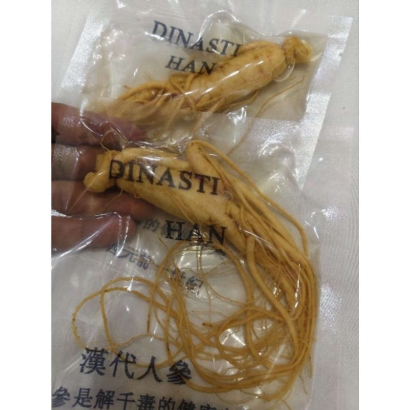 

Gingseng Dinasti Han ukuran sedang