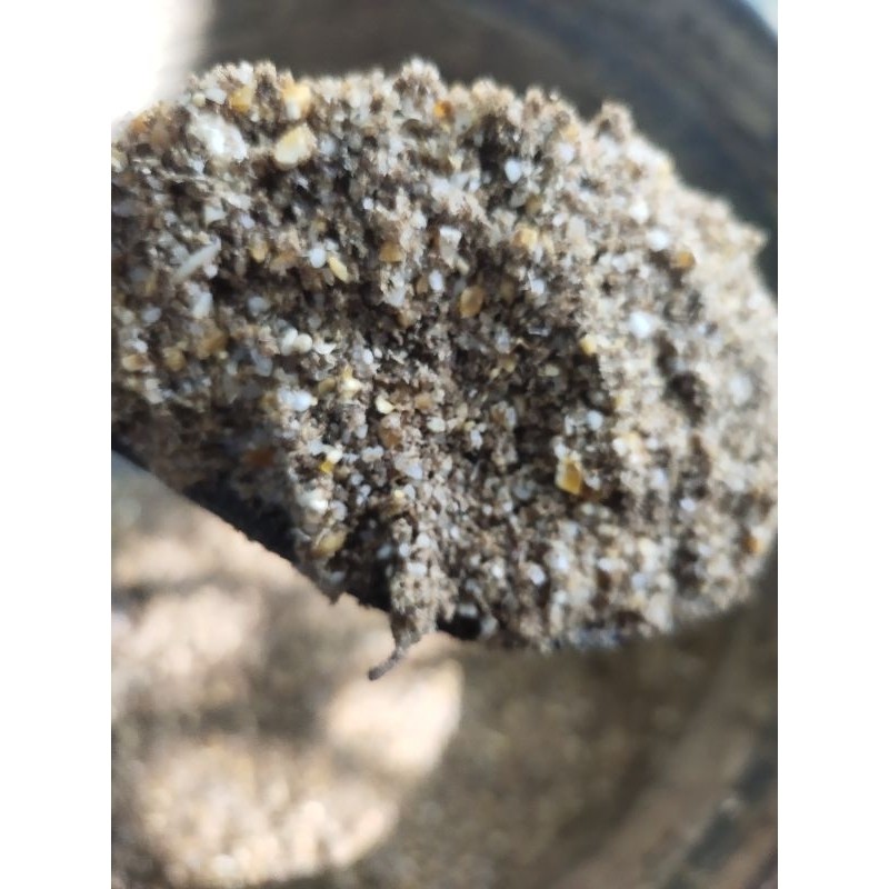 IMRON PRIBADI Paket 5 Kg PAKAN AYAM PEMBESAR DOC  Fermentasi Kering Beras Jagung Menir Beras Ampas T