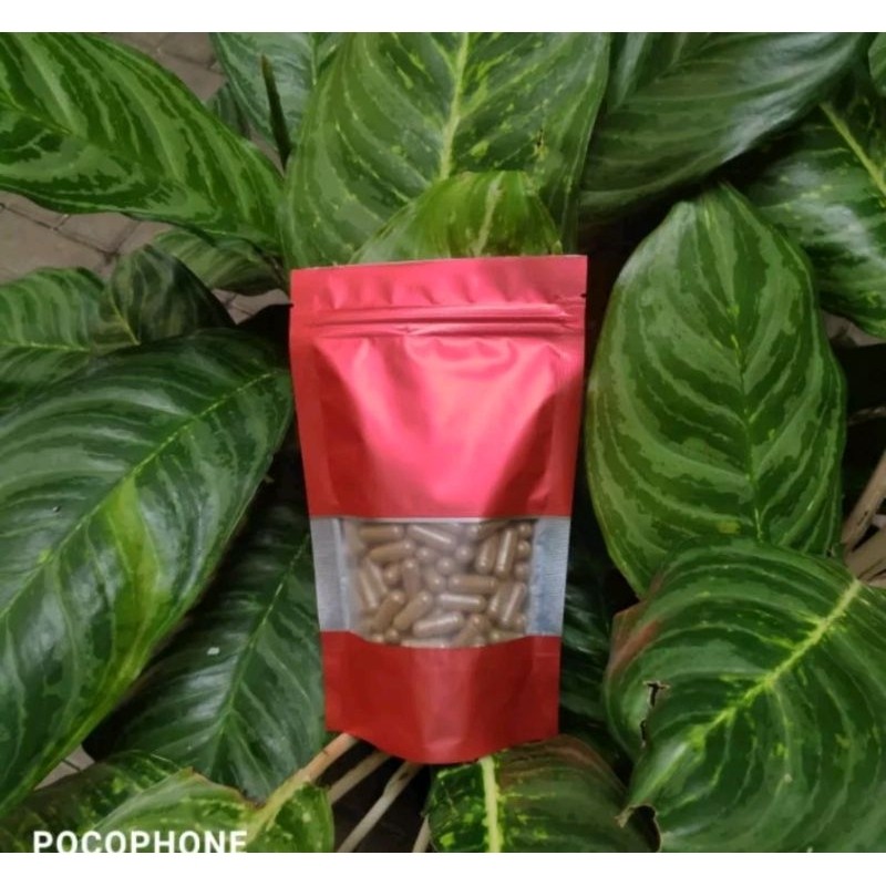 

120 Kapsul Chong Cao Hua 虫草花 Cordyceps Flower Jamur Bunga Cordyceps Cordyceps Militaris