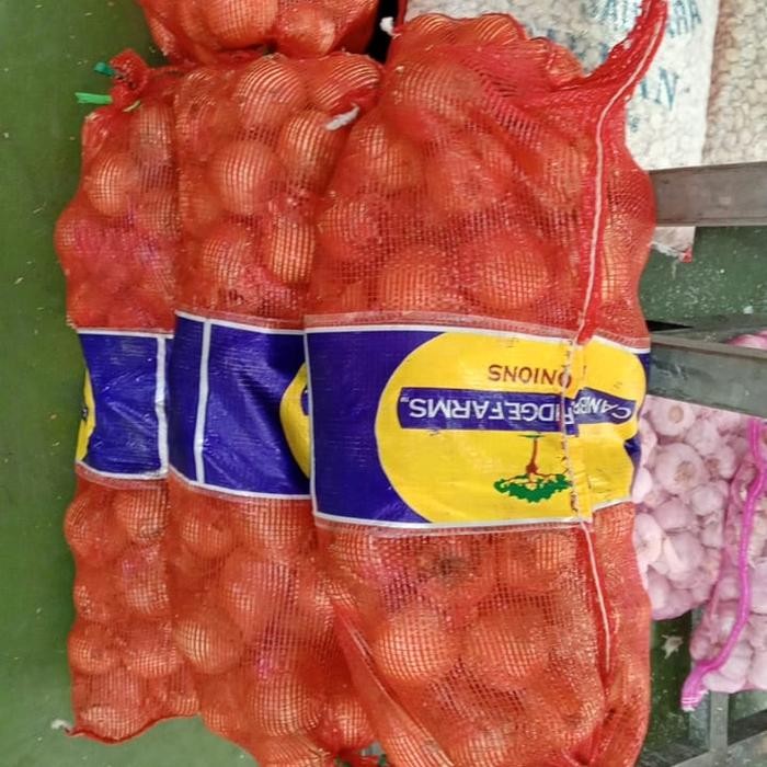 

bawang bombay karungan 20kg Grade A - Rusia