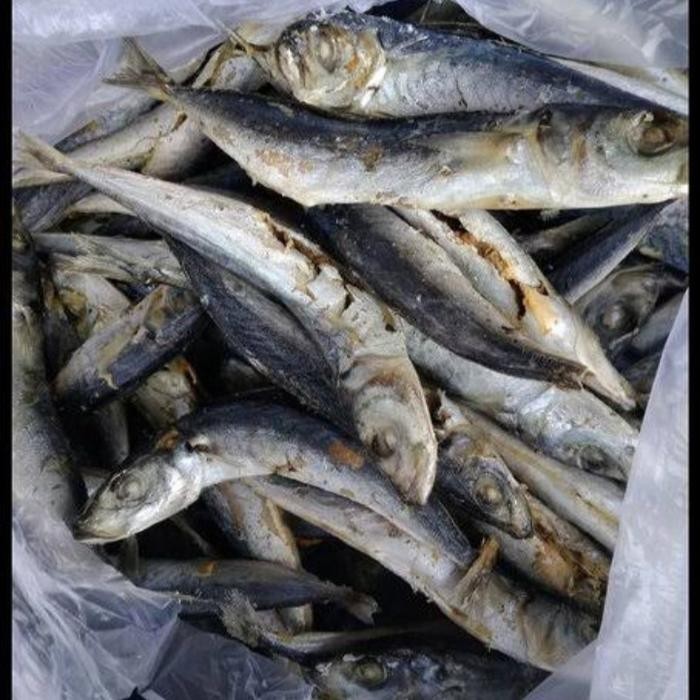 

Ikan Asin Layang 1 kg