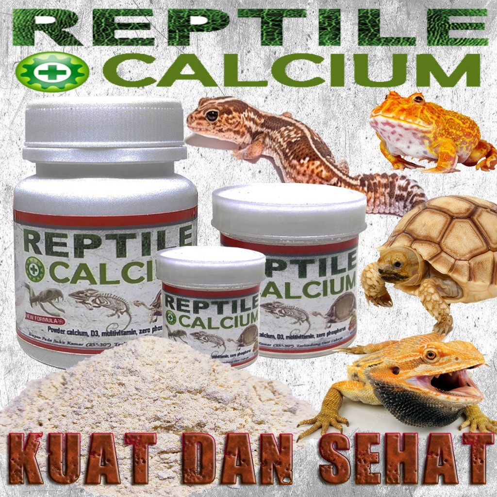 fusena store KALSIUM REPTILE CALSIUM REPTIL PERTUMBUHAN TULANG MBD HEWAN GECKO KADAL BEARDED DRAGON 