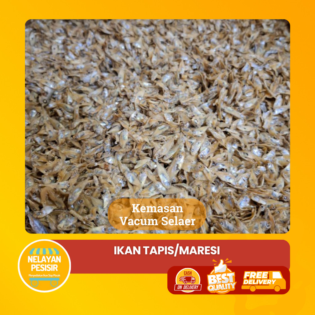 

Ikan Asin Semadar/ Tapis Super / Maresi Kualitas Terbaik Harga Termurah Gratis Ongkir