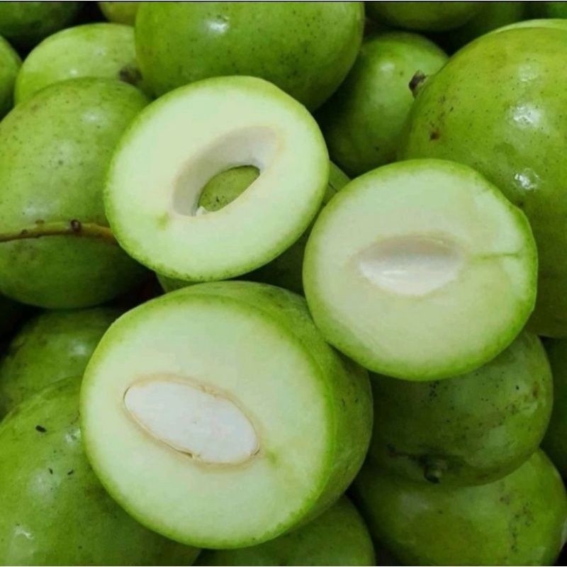 

READY mangga muda manga rujak 1 kg