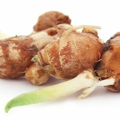 

promo jual murah kencur segar presh 500grm