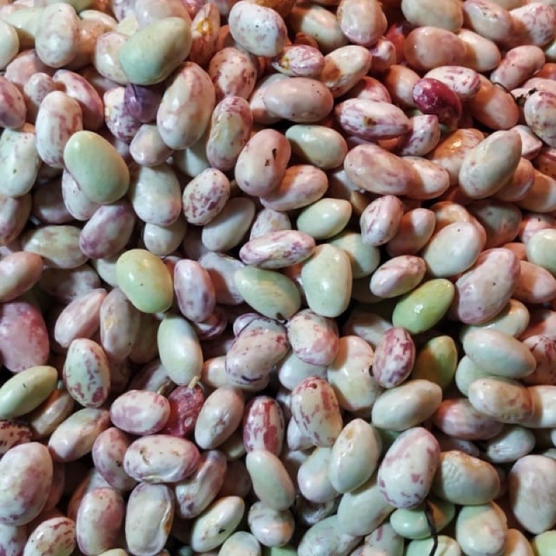 

kacang endul 250gram kacang ndul sayuran segar