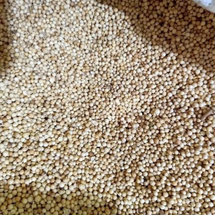 

Ketumbar super bening kering tanpa bubuk - Ketumbar super 1 kg