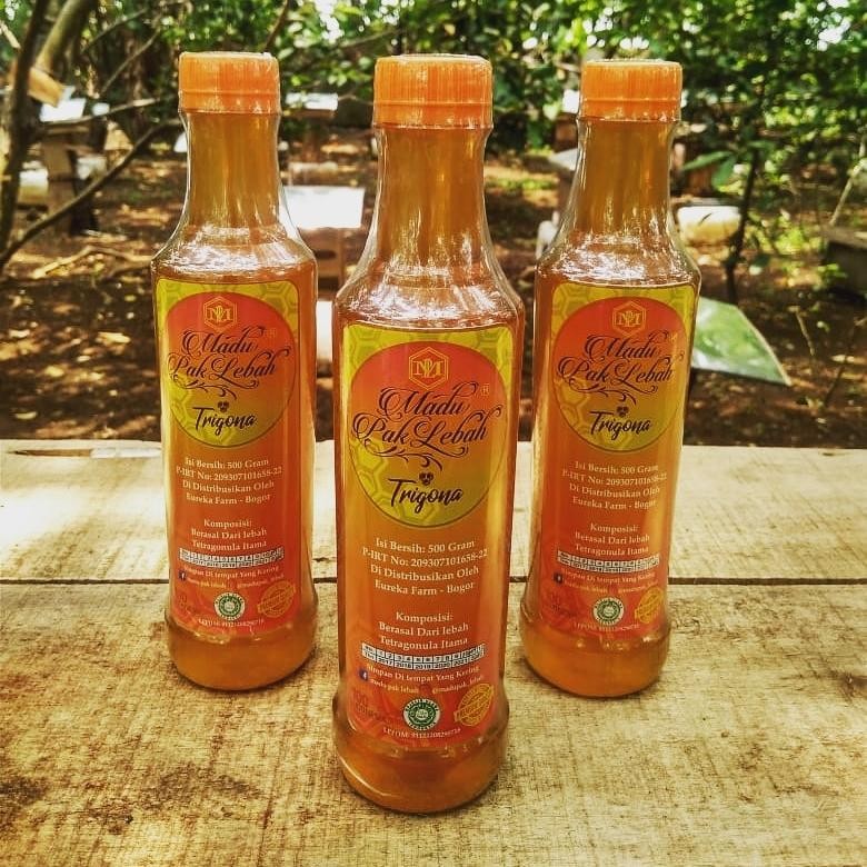 

Madu Pak Lebah - Madu Murni Trigona 500 gram (Madu Kelulut)
