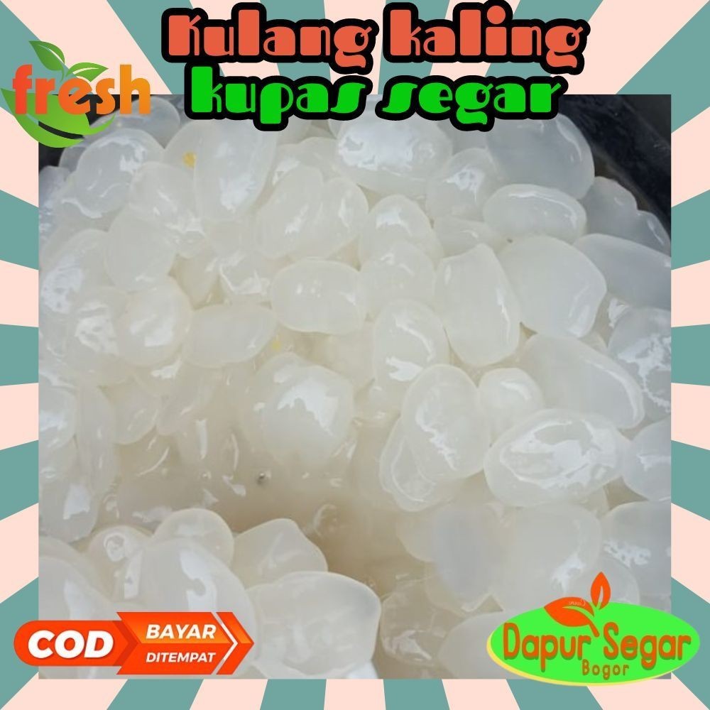 

PROMO SEGAR Kolang kaling Mentah 1kg super Medan ready
