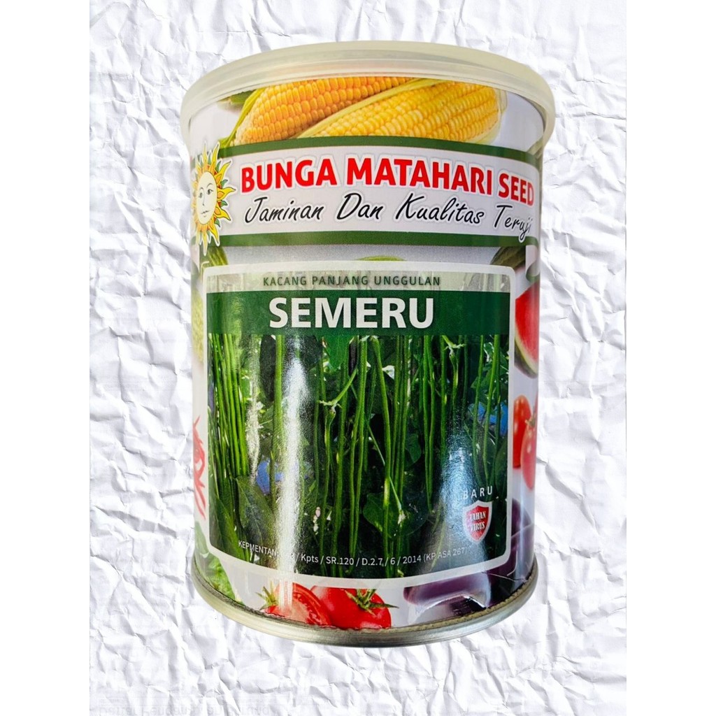 Benih kacang panjang SEMERU 500gr dari BUNGA MATAHARI SEED