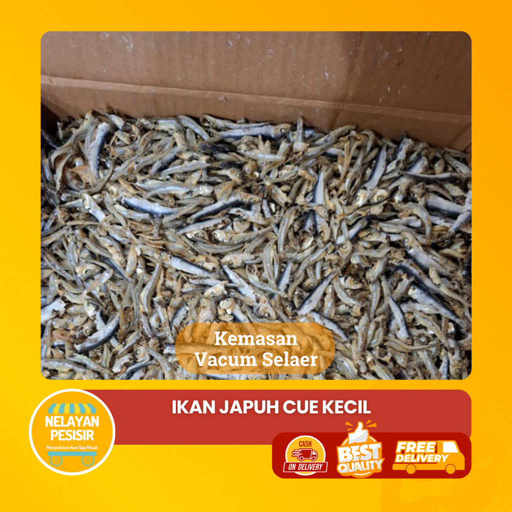 

Cue Japuh Kering Asin Ikan Mentah Siap Masak Tahan Lama Kualitas Premium