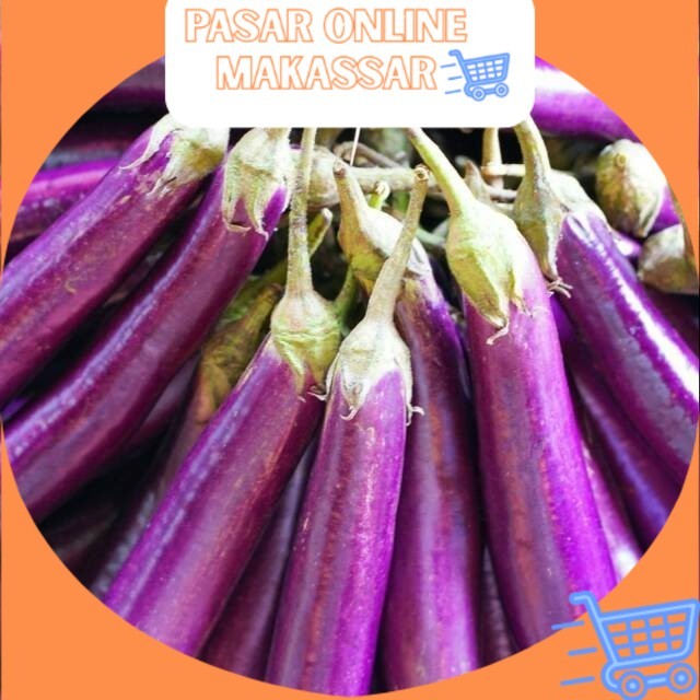 

Terong Ungu per Biji