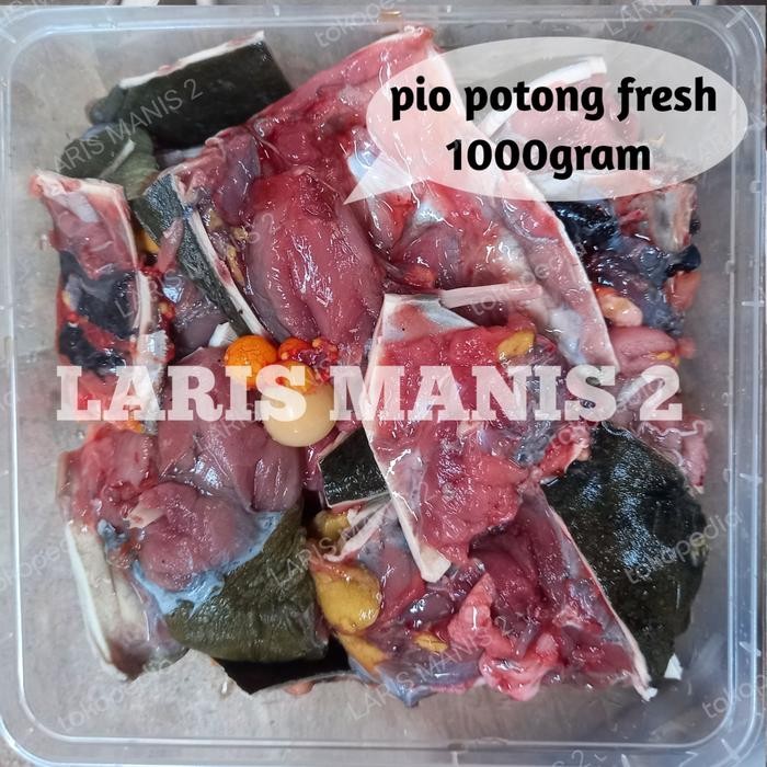 

daging pio bulus labi labi 1000gram