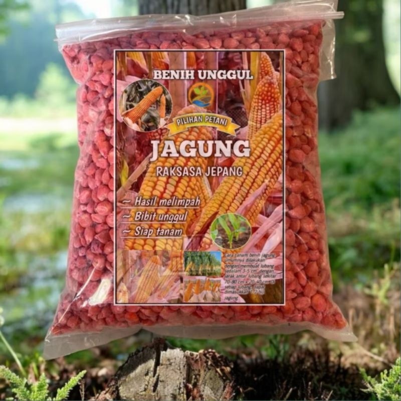 MURAH 1KG BIJI/BENIH JAGUNG RAKSASA JEPANG