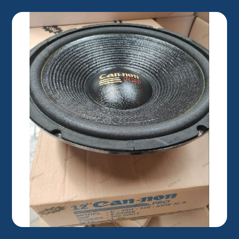 SPEAKER 12 INCH WOOFER (BASS), CAN-NON PRO 1238B