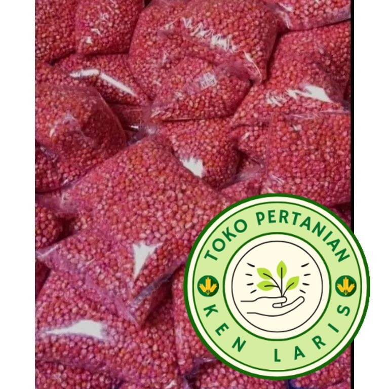 

READY!! [ART. N75N] BENIH JAGUNG SIAP TANAM SUMO,PERKASA,P27,P21,18,JAGO,PERKASA,212,1KG SIAP TANAM (B.B.19)