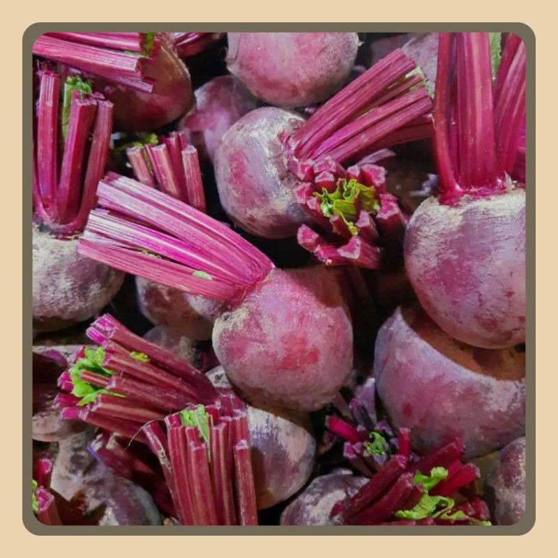 

BUAH BIT / BEETROOT FRESH KUALITAS SUPER 1KG
