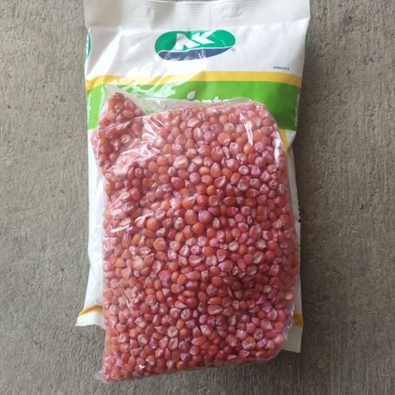 

READY!! BENIH JAGUNG PERKASA NK P27 SUMO LENGKAP ART S6V8 (B.B.19)