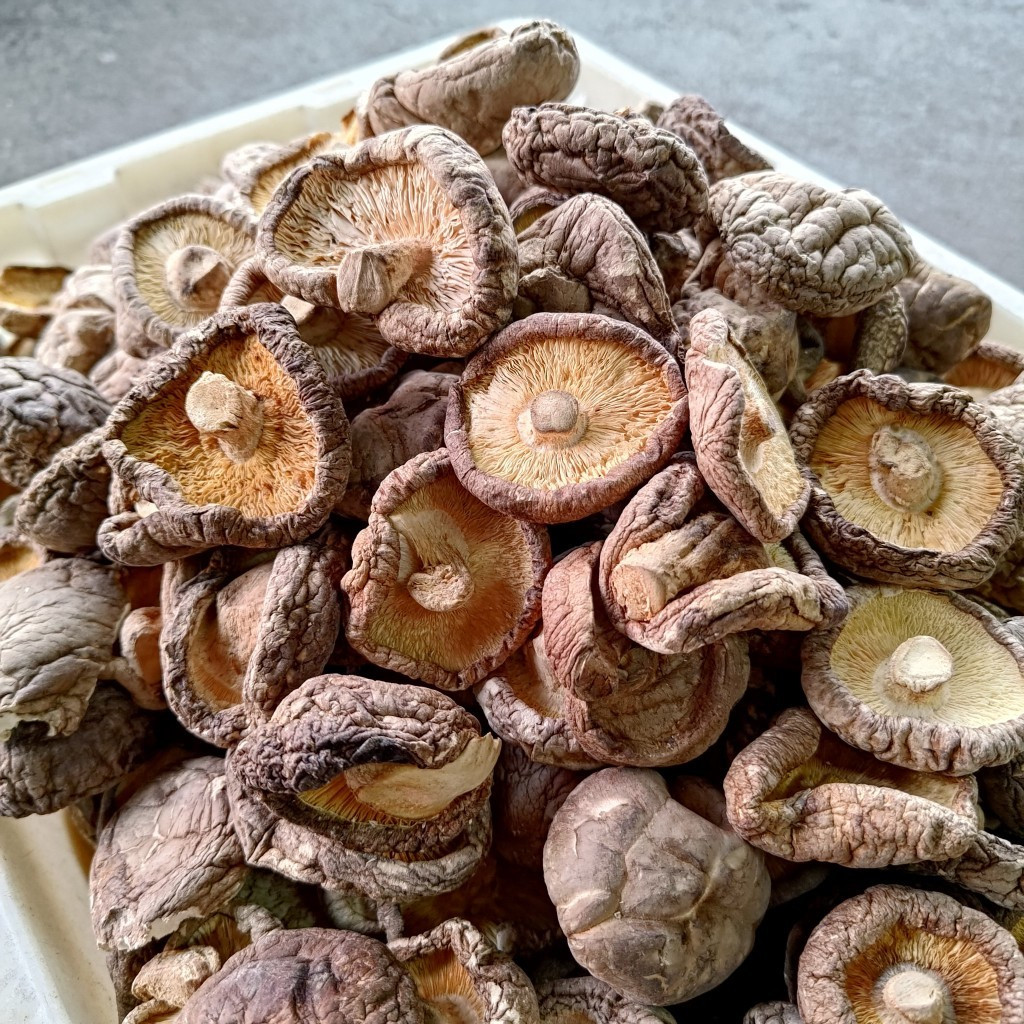 

Jamur Shiitake Kering Premium 500gr – Hioko Grade A | Kaya Nutrisi & Umami