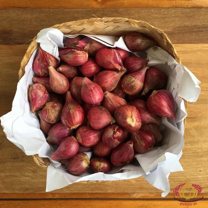 

Bawang Merah Brebes Besar Super per kg