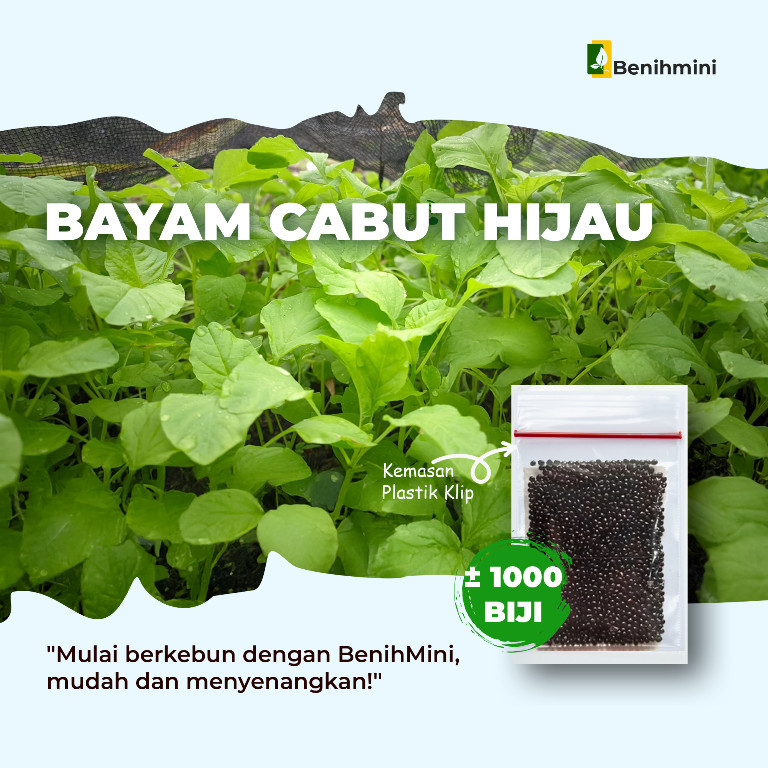 

BENIHMINI Bayam Cabut Hijau isi ± 1000 Biji Benih