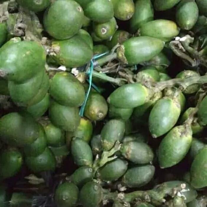 

promo Hemat Buah pinang muda 500 gram segar baru dipetik