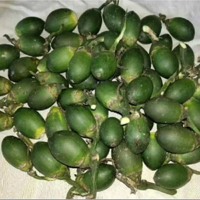 

Ready stok buah pinang ceming Buah Pinang Segar/Jambe Muda Segar Alami 500grm/Buah Jambe pinang muda