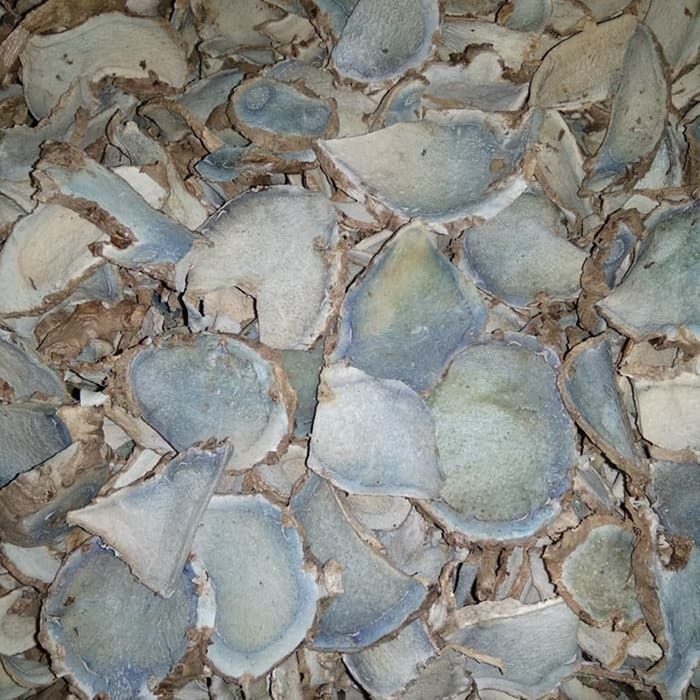 

Promo Murah Terlaris [500gr]Temu Ireng Kering Organik