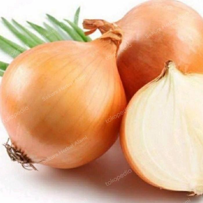 

perbutir bawang bombay ukuran besar bumbu masak dll ready