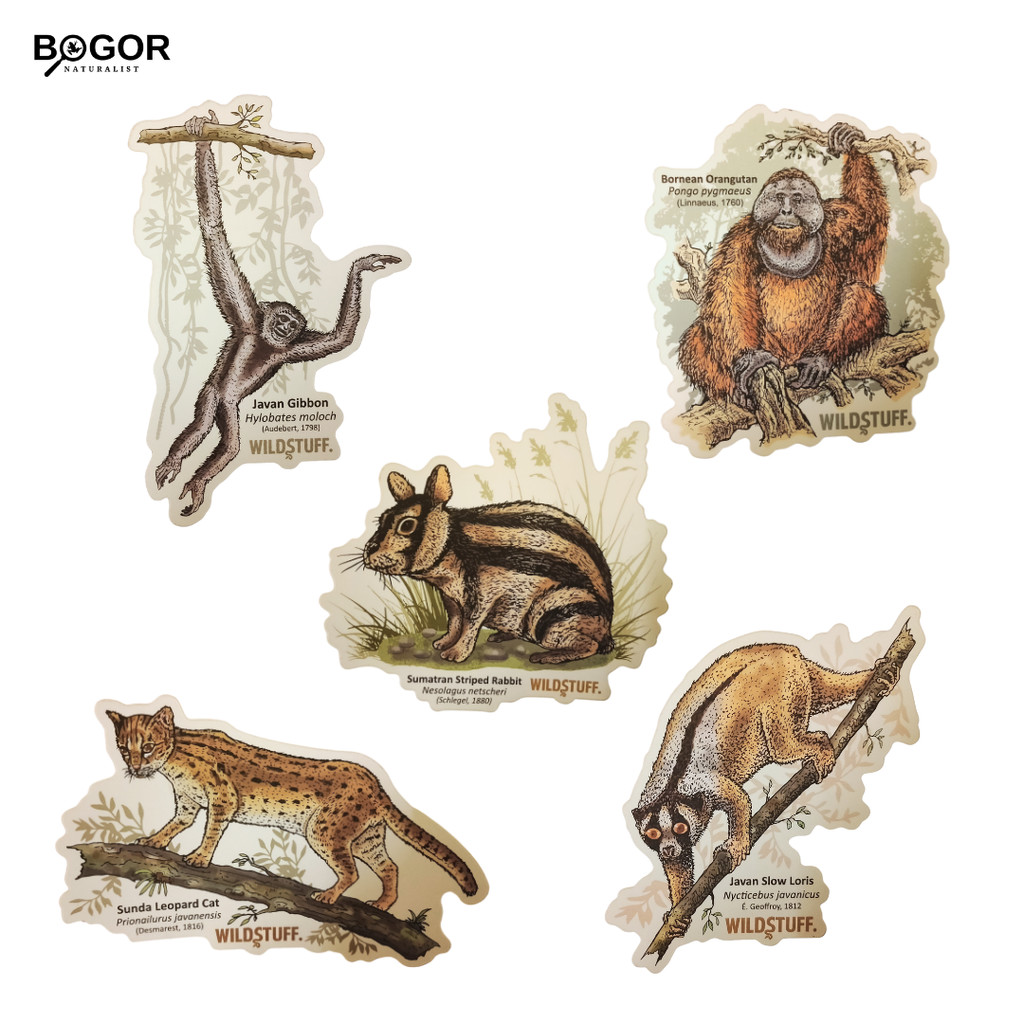 

Stiker Wildstuff Edisi Mamalia